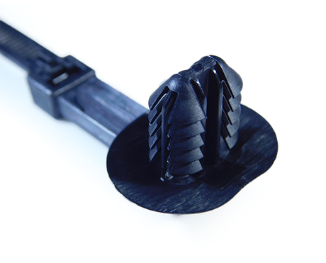 Offset Oval Hole Fir Tree