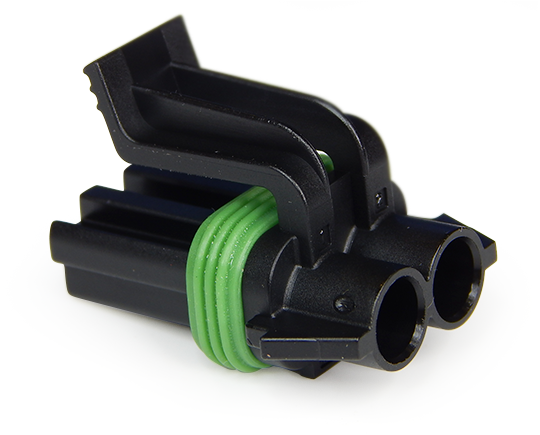 MG654469-5