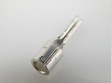 WP13020T